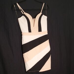 Blush Black and White Bodycon Mini Dress